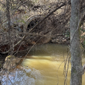 Commercial acreage and land for sale in Spartanburg SC - image 17
