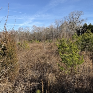 Commercial acreage and land for sale in Spartanburg SC - image 3