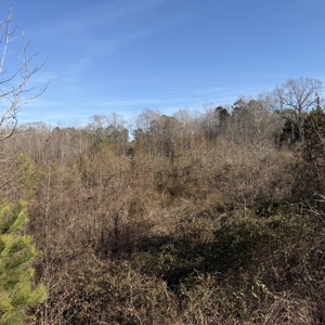Commercial acreage and land for sale in Spartanburg SC - image 14