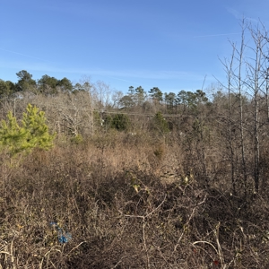 Commercial acreage and land for sale in Spartanburg SC - image 37