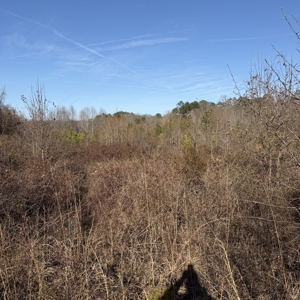 Commercial acreage and land for sale in Spartanburg SC - image 2