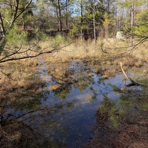 Commercial acreage and land for sale in Spartanburg SC - image 20