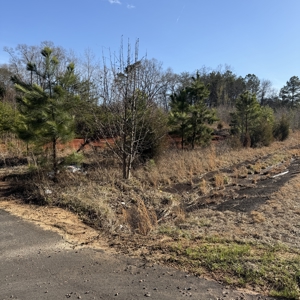 Commercial acreage and land for sale in Spartanburg SC - image 12