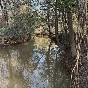 Commercial acreage and land for sale in Spartanburg SC - image 18