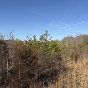 Commercial acreage and land for sale in Spartanburg SC - image 8