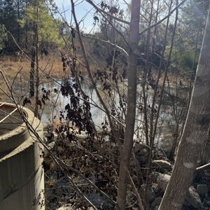 Commercial acreage and land for sale in Spartanburg SC - image 25