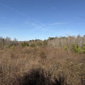 Commercial acreage and land for sale in Spartanburg SC - image 6