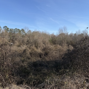 Commercial acreage and land for sale in Spartanburg SC - image 41