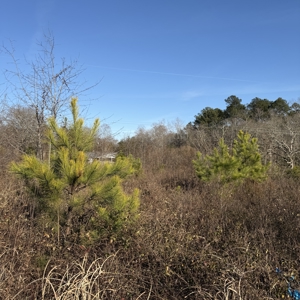 Commercial acreage and land for sale in Spartanburg SC - image 38