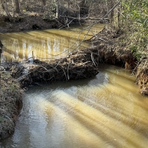 Commercial acreage and land for sale in Spartanburg SC - image 32