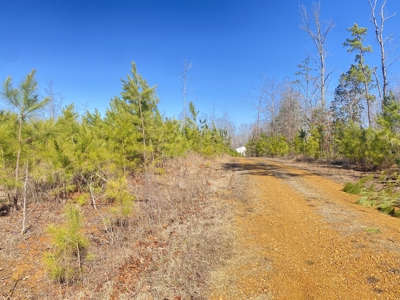 Cabin Style Home For Sale In Mcnairy County Tn With Acreage - image 28