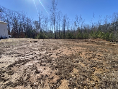 Cabin Style Home For Sale In Mcnairy County Tn With Acreage - image 25