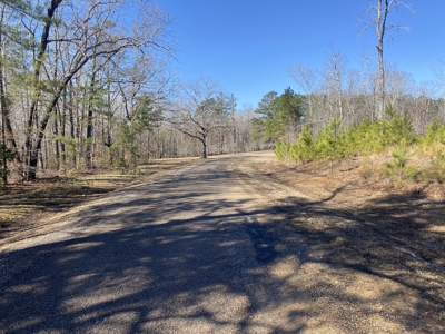 Cabin Style Home For Sale In Mcnairy County Tn With Acreage - image 29
