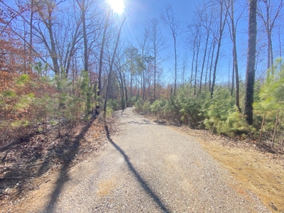 Cabin Style Home For Sale In Mcnairy County Tn With Acreage - image 27