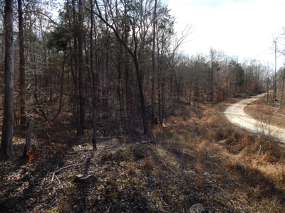 5.01 Acres of Private, Wooded Land in Tennessee! - image 2