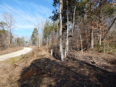 5.01 Acres of Private, Wooded Land in Tennessee! - image 3