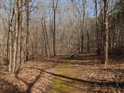 5.01 Acres of Private, Wooded Land in Tennessee! - image 18