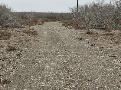 🔥 Prime South Texas Hunting Ranch – 108.97 Acres Of Opportunity - image 22