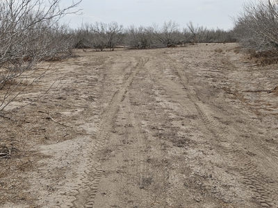 🔥 Prime South Texas Hunting Ranch – 108.97 Acres Of Opportunity - image 19