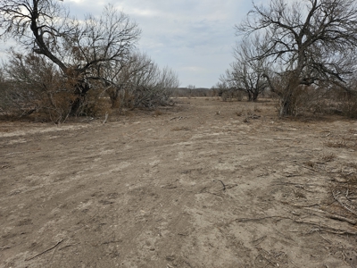 🔥 Prime South Texas Hunting Ranch – 108.97 Acres Of Opportunity - image 34