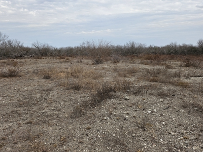 🔥 Prime South Texas Hunting Ranch – 108.97 Acres Of Opportunity - image 24