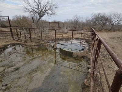 🔥 Prime South Texas Hunting Ranch – 108.97 Acres Of Opportunity - image 38