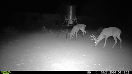 🔥 Prime South Texas Hunting Ranch – 108.97 Acres Of Opportunity - image 45