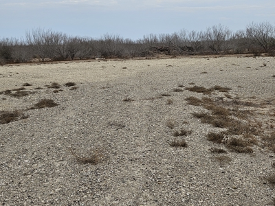 🔥 Prime South Texas Hunting Ranch – 108.97 Acres Of Opportunity - image 5