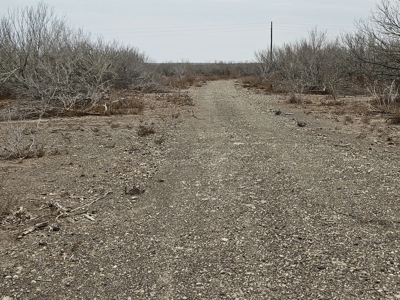 🔥 Prime South Texas Hunting Ranch – 108.97 Acres Of Opportunity - image 21