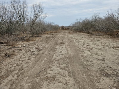 🔥 Prime South Texas Hunting Ranch – 108.97 Acres Of Opportunity - image 16