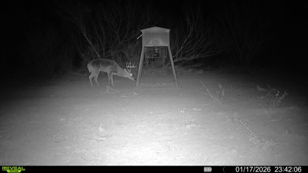 🔥 Prime South Texas Hunting Ranch – 108.97 Acres Of Opportunity - image 1