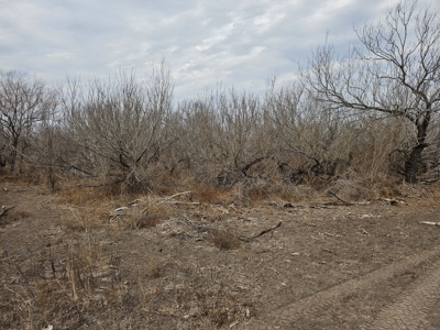 🔥 Prime South Texas Hunting Ranch – 108.97 Acres Of Opportunity - image 15