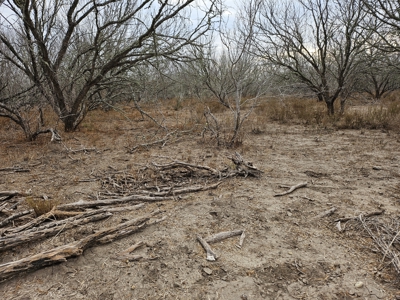 🔥 Prime South Texas Hunting Ranch – 108.97 Acres Of Opportunity - image 18