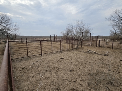 🔥 Prime South Texas Hunting Ranch – 108.97 Acres Of Opportunity - image 36