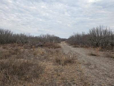 🔥 Prime South Texas Hunting Ranch – 108.97 Acres Of Opportunity - image 23