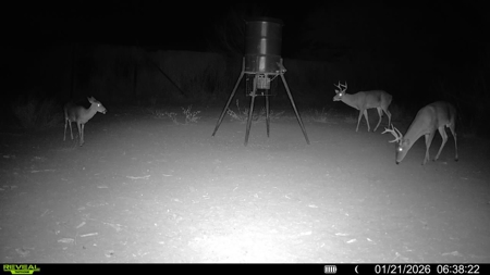 🔥 Prime South Texas Hunting Ranch – 108.97 Acres Of Opportunity - image 44