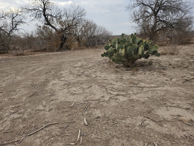 🔥 Prime South Texas Hunting Ranch – 108.97 Acres Of Opportunity - image 31