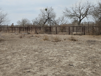 🔥 Prime South Texas Hunting Ranch – 108.97 Acres Of Opportunity - image 32