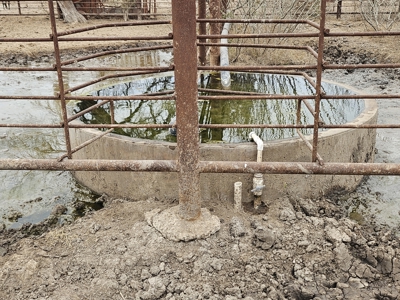 🔥 Prime South Texas Hunting Ranch – 108.97 Acres Of Opportunity - image 35