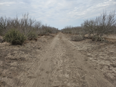 🔥 Prime South Texas Hunting Ranch – 108.97 Acres Of Opportunity - image 2