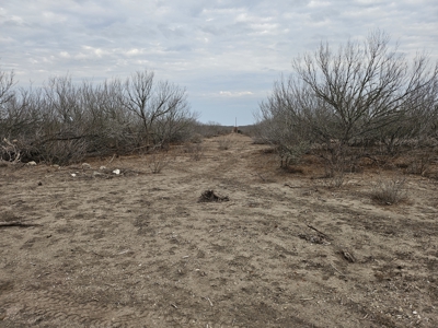 🔥 Prime South Texas Hunting Ranch – 108.97 Acres Of Opportunity - image 28