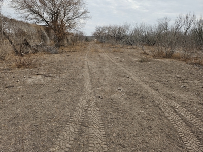 🔥 Prime South Texas Hunting Ranch – 108.97 Acres Of Opportunity - image 14