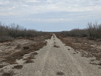 🔥 Prime South Texas Hunting Ranch – 108.97 Acres Of Opportunity - image 10