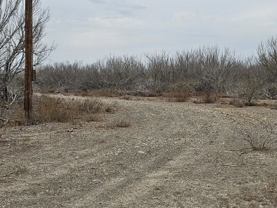 🔥 Prime South Texas Hunting Ranch – 108.97 Acres Of Opportunity - image 4