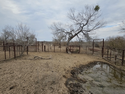 🔥 Prime South Texas Hunting Ranch – 108.97 Acres Of Opportunity - image 40