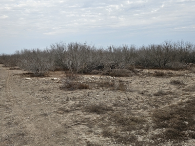 🔥 Prime South Texas Hunting Ranch – 108.97 Acres Of Opportunity - image 9
