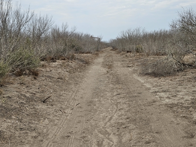 🔥 Prime South Texas Hunting Ranch – 108.97 Acres Of Opportunity - image 20