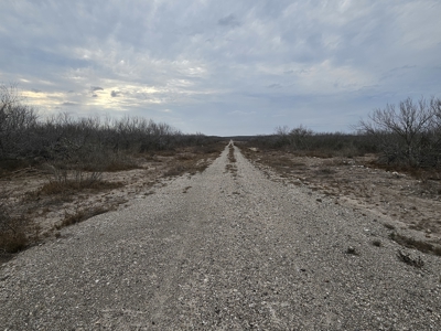 🔥 Prime South Texas Hunting Ranch – 108.97 Acres Of Opportunity - image 6
