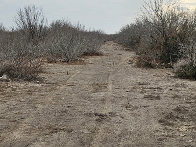 🔥 Prime South Texas Hunting Ranch – 108.97 Acres Of Opportunity - image 25