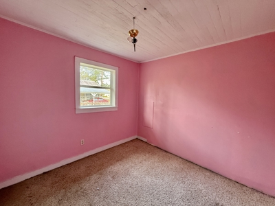 Hartford Alabama Investment Home for sale - image 13